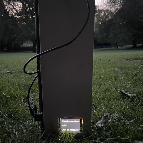 A portable bat classifier