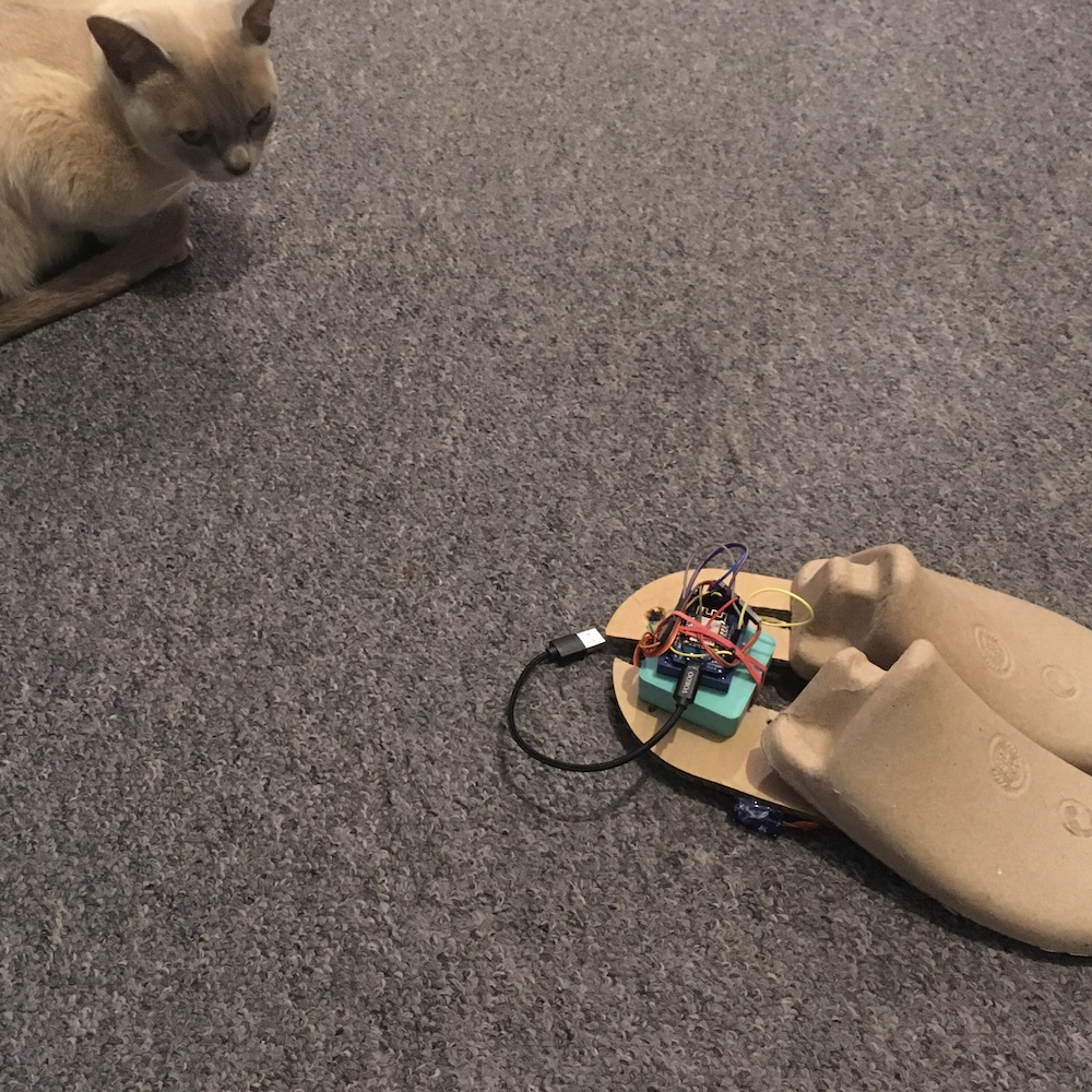 Some motorised cardboard feet with a cat looking on suspiciously